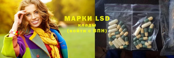 прущие грибы Верея
