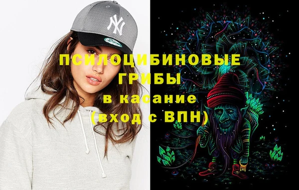 прущие грибы Верея