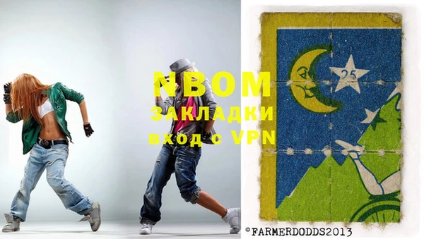 прущие грибы Верея