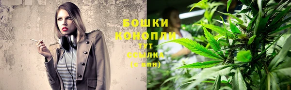 прущие грибы Верея