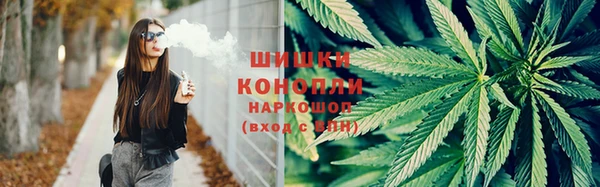 spice Волосово
